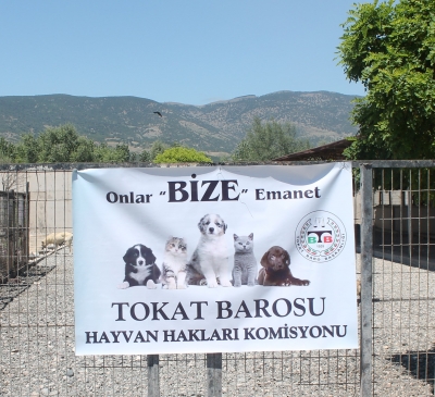 Baromuzdan Tokat Belediyesi Hayvan Barınağına Ziyaret ve Basın Açıklaması